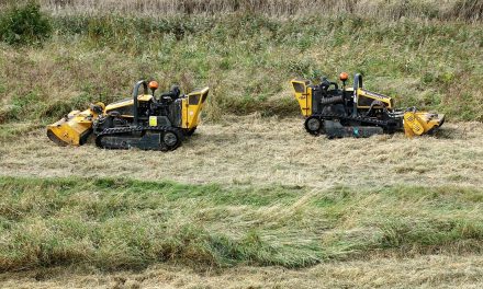 Idealnie skoszony trawnik czyli wszystko o traktorach do trawy